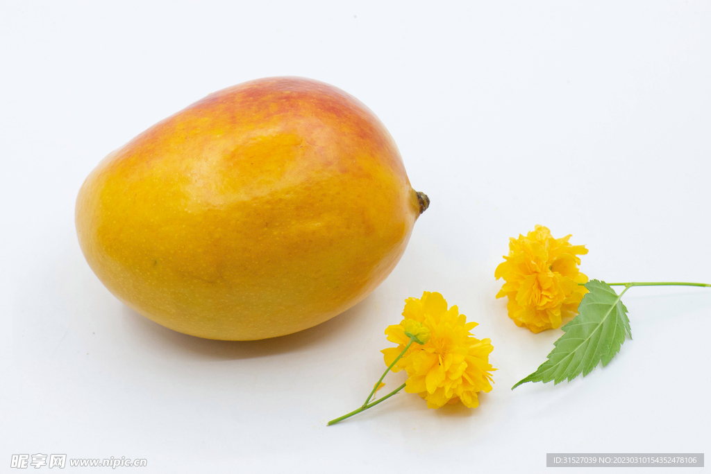 芒果高清特写