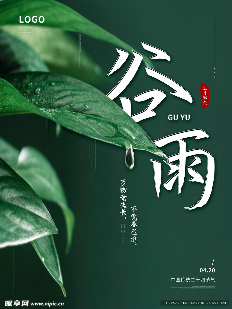 谷雨海报           