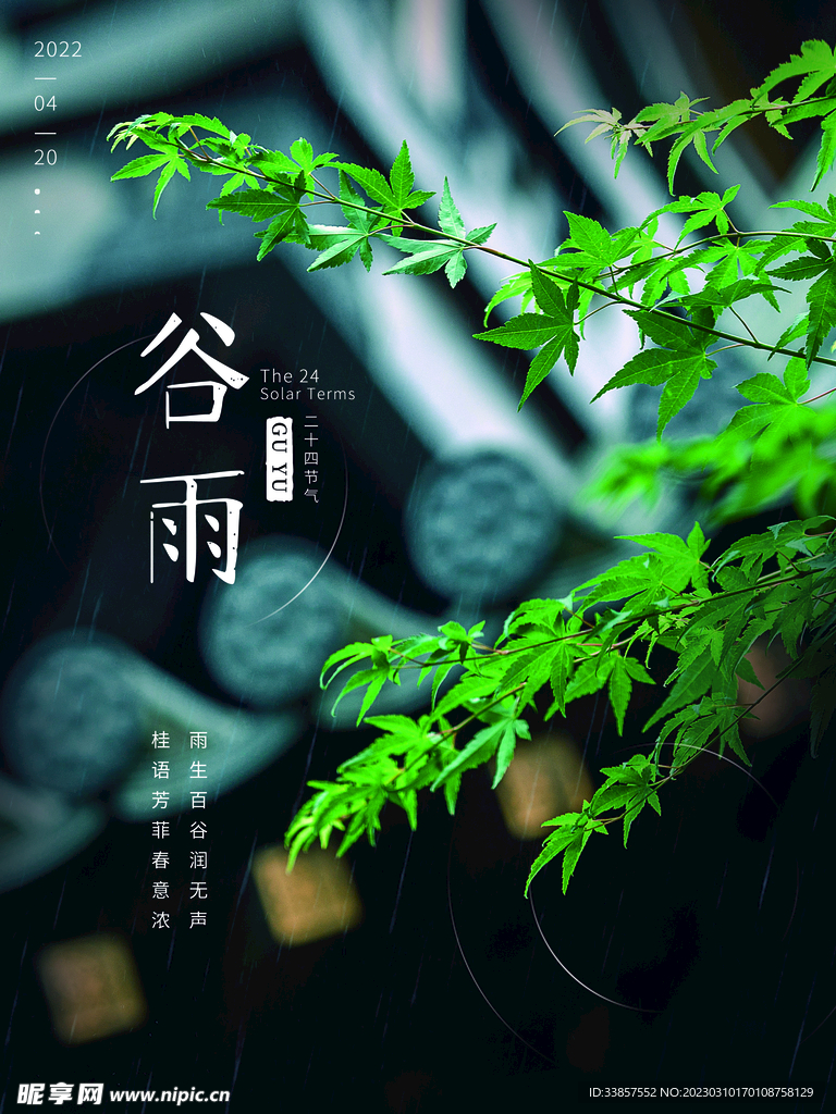 谷雨海报           