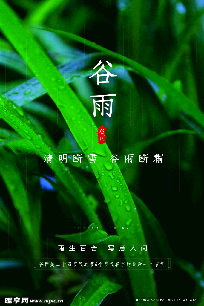 谷雨海报           