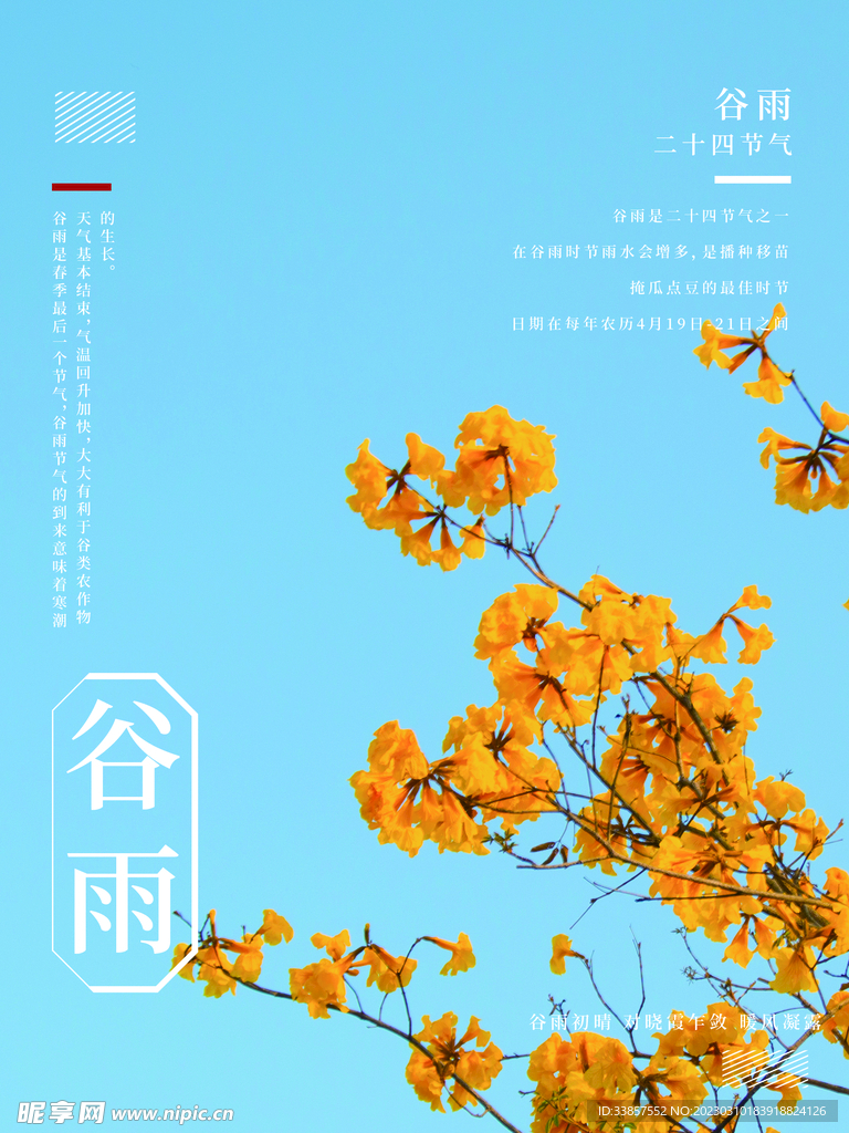 谷雨海报           