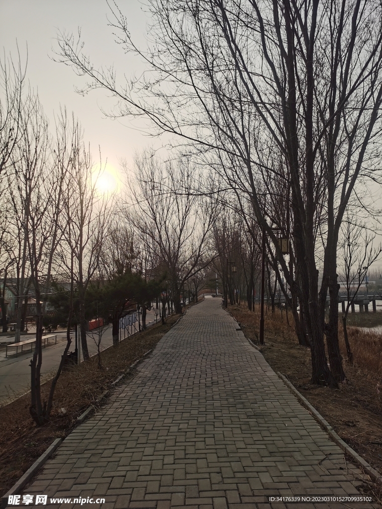 路