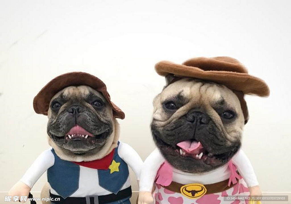狗