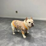 狗