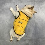 狗