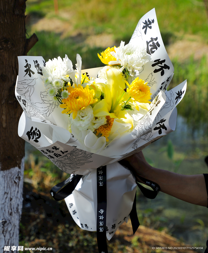 清明节 鲜花 花朵 拍摄 摄影