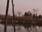 太白湖春天湖景