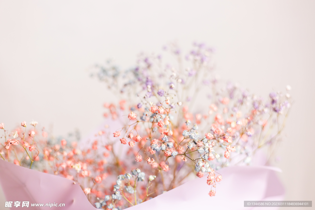 花朵背景