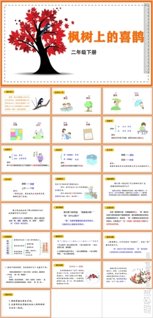 枫树上的喜鹊
