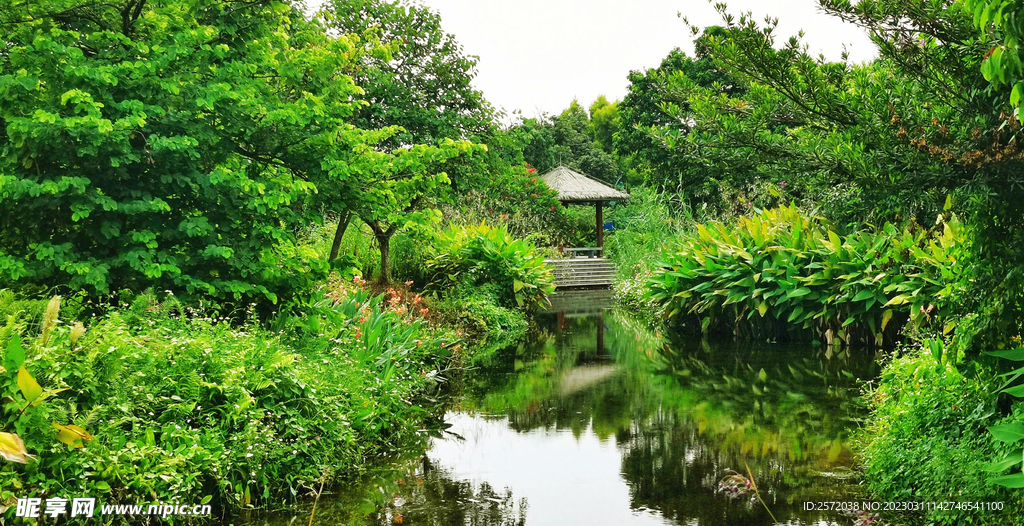 广州海珠国家湿地公园