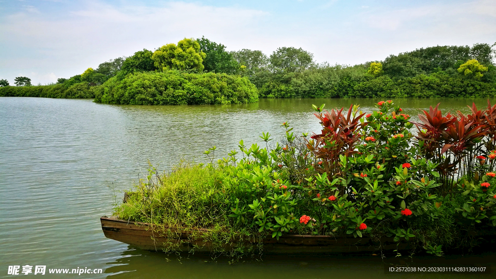 广州南沙湿地公园