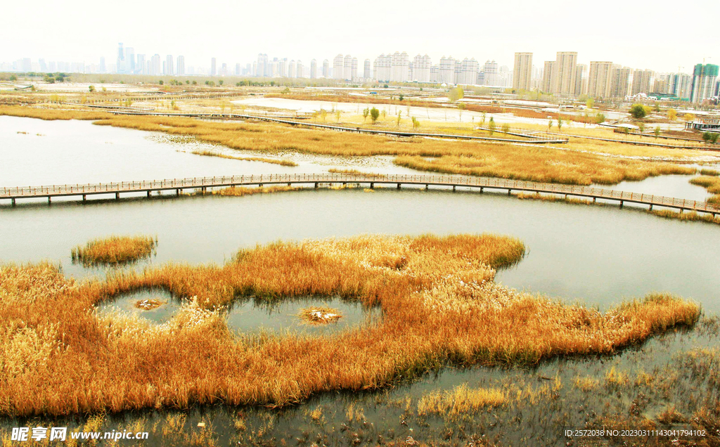 黑龙江哈尔滨松江湿地