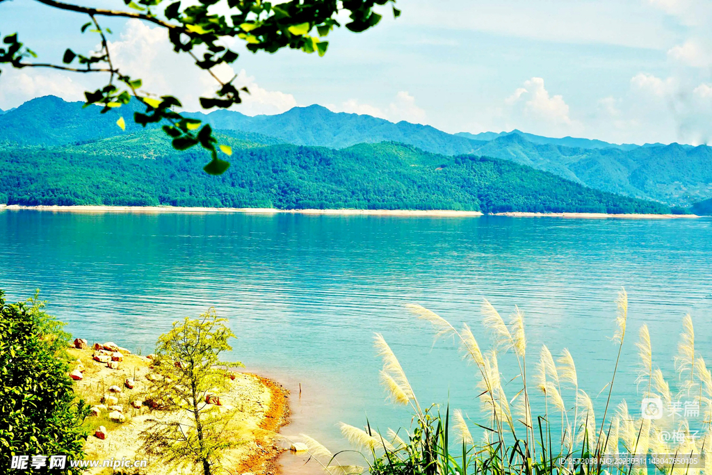 湖南东江湖湿地公园