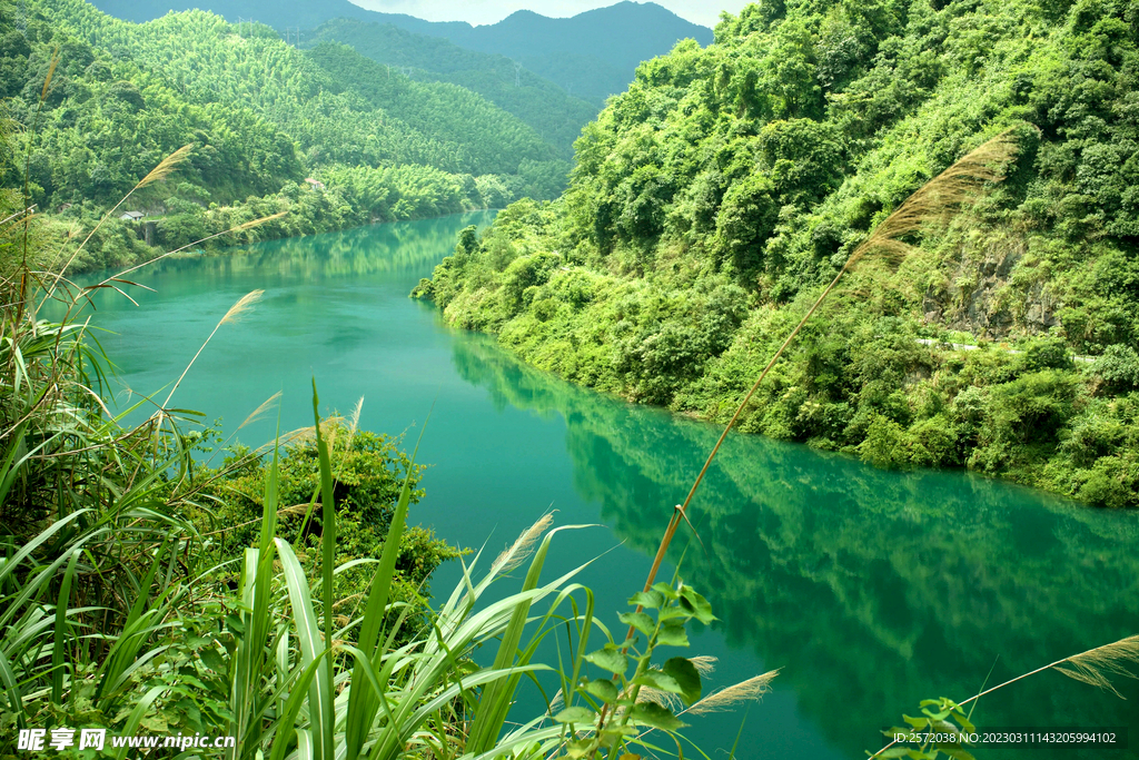 湖南东江湖湿地公园