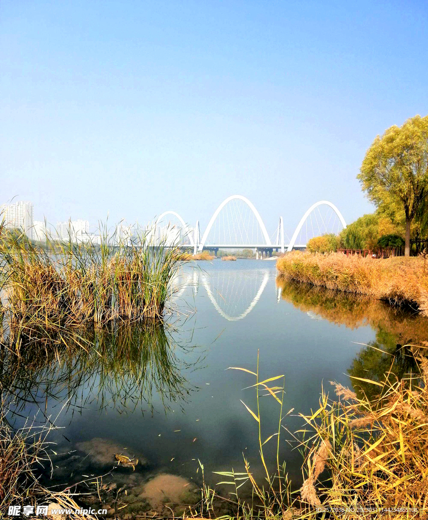 山西太原汾河湿地公园