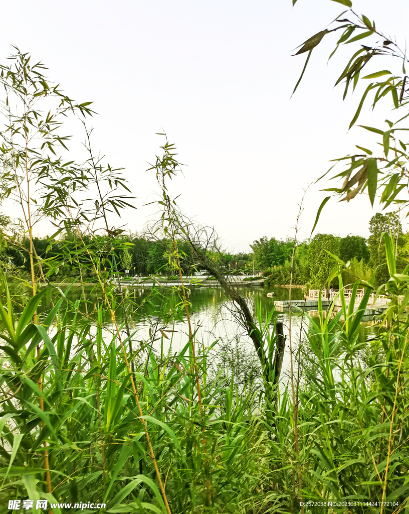 四川眉山青神竹林湿地公园