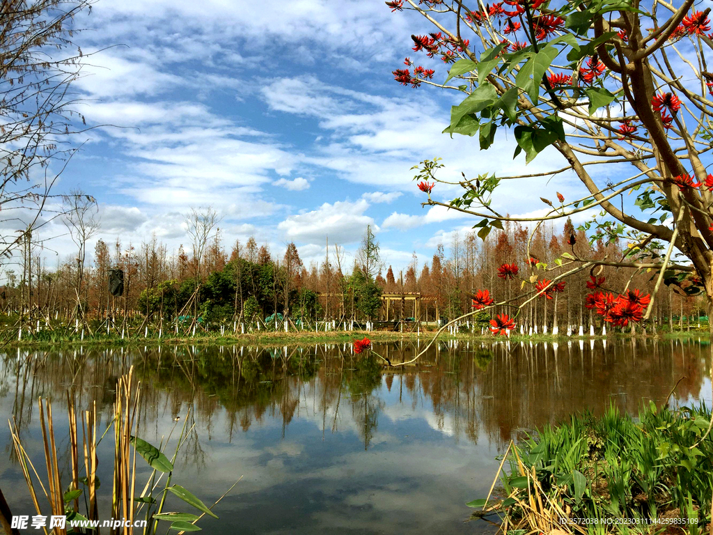 云南昆明海洪湿地公园