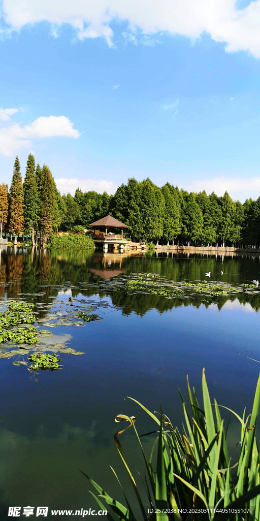 云南昆明海洪湿地公园