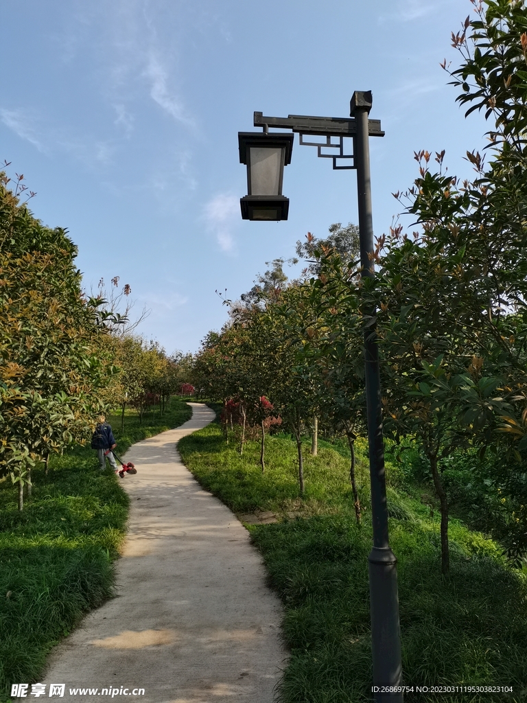 公园路灯