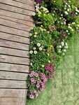 花园草地图