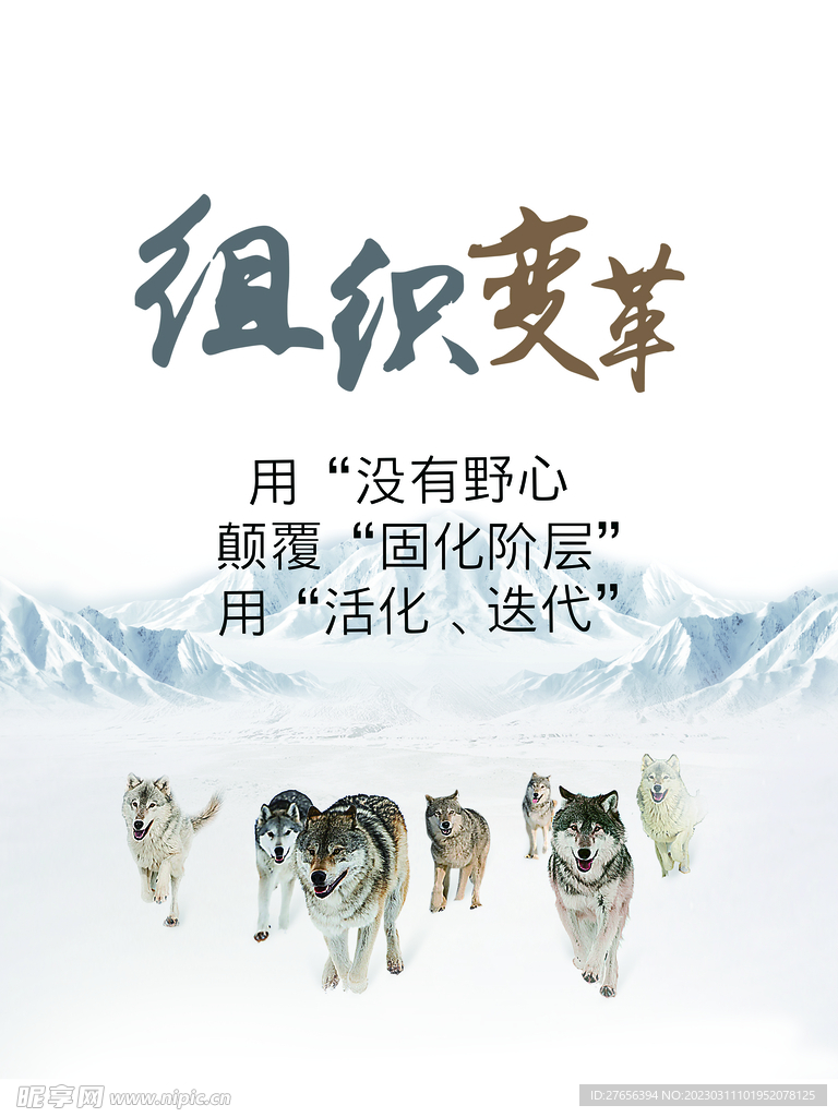 企业文化
