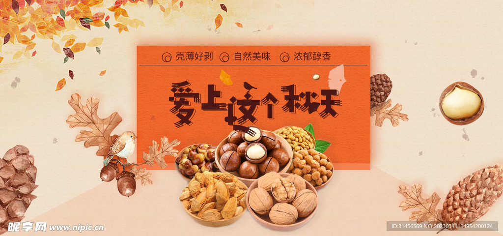 坚果