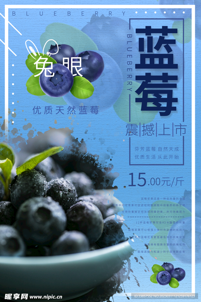 蓝莓水果海报         
