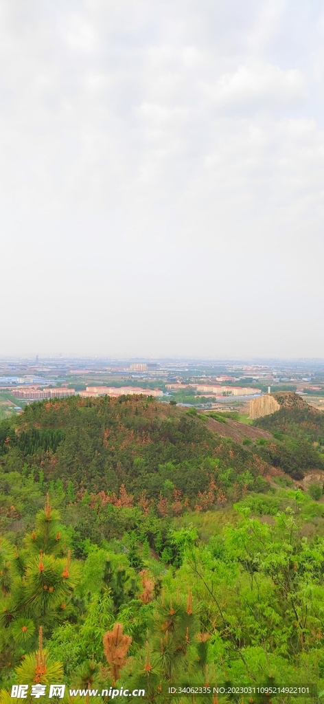 马山神秘风景