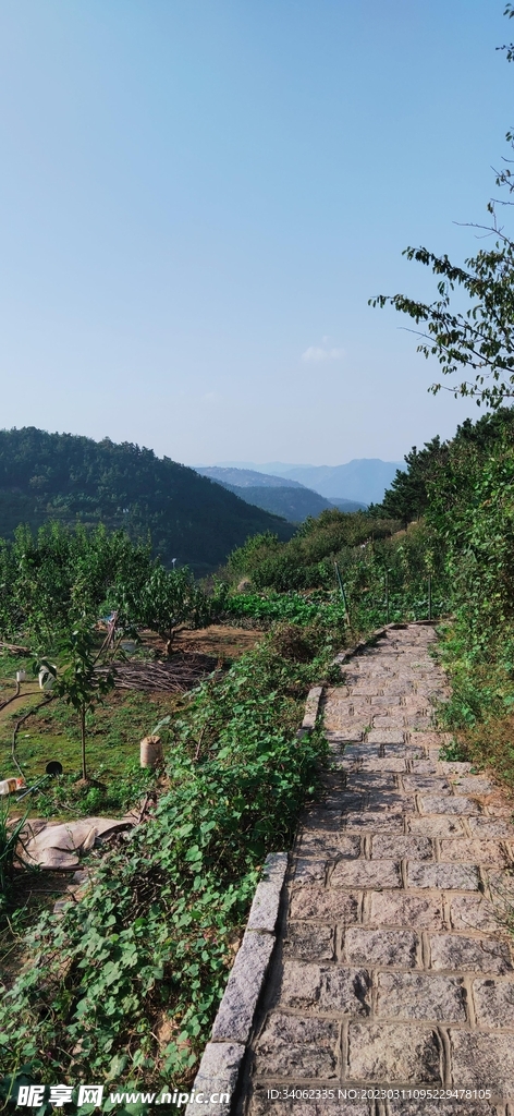 马山神秘风景