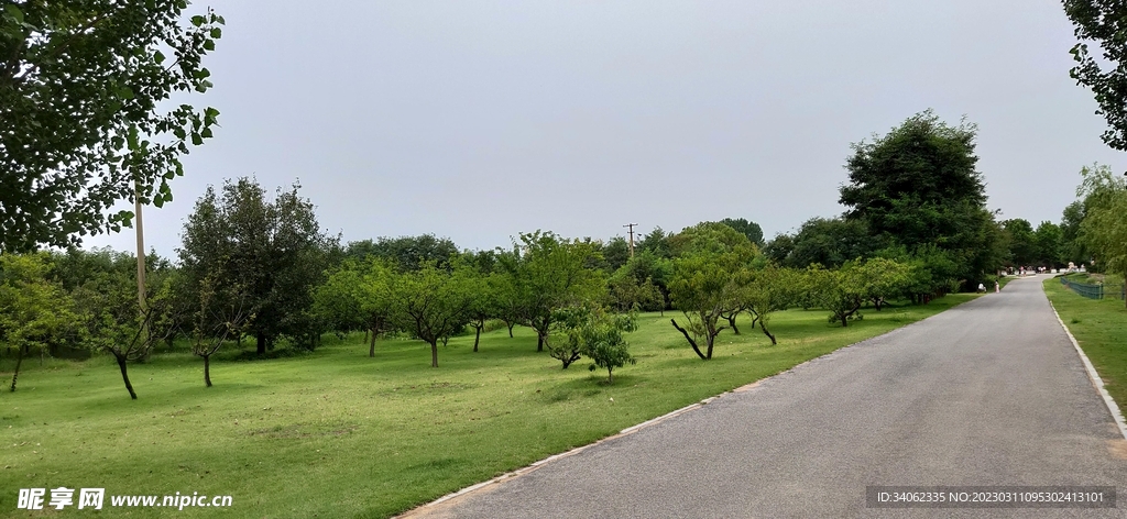马山神秘风景