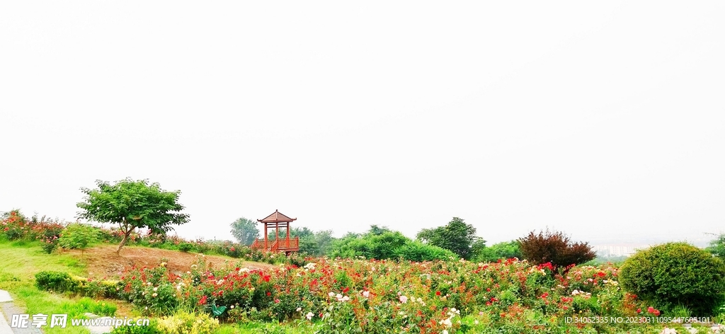 马山神秘风景