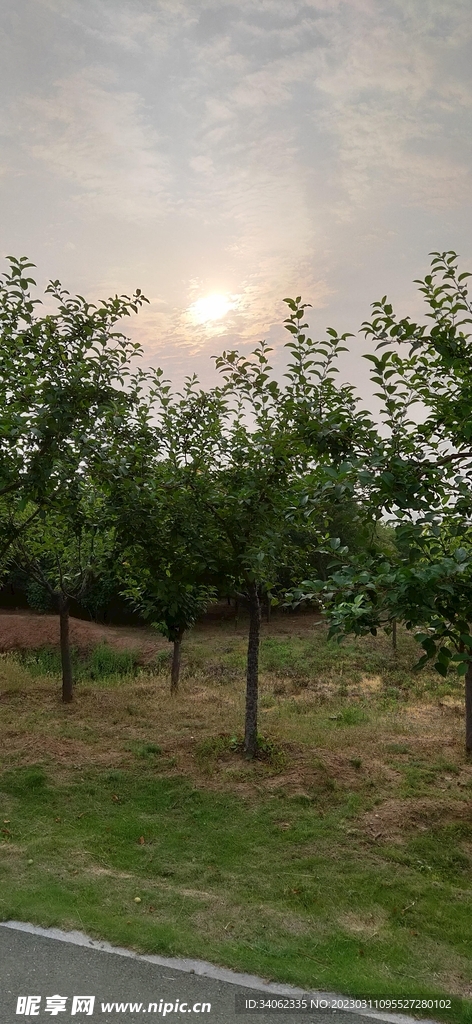 马山神秘风景