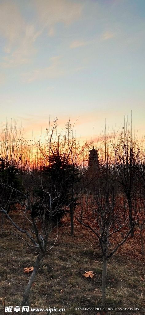 马山神秘风景