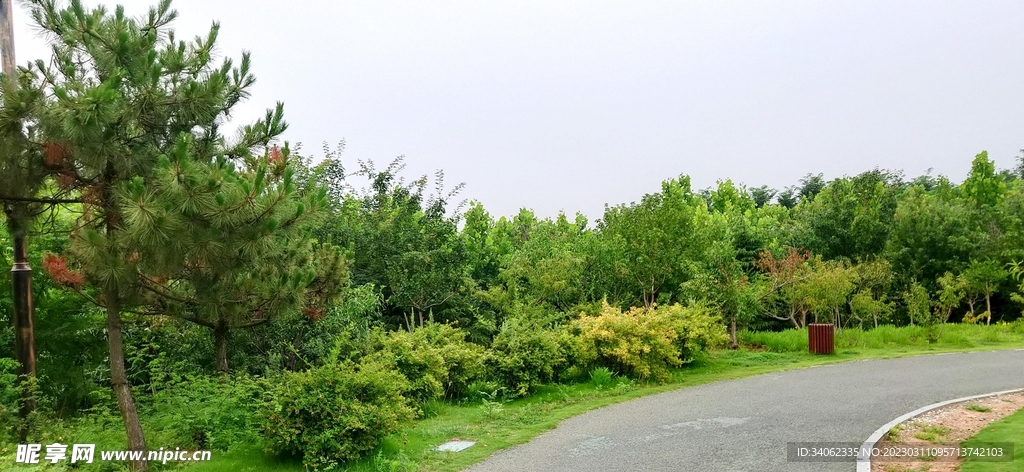 马山神秘风景