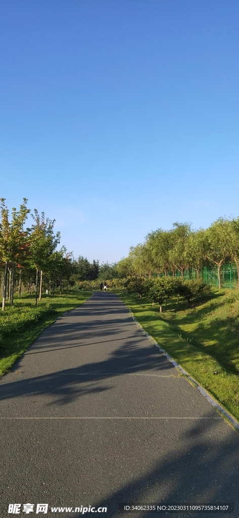 马山神秘风景