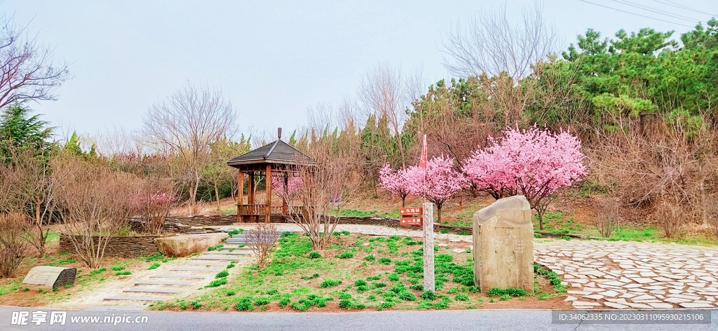 马山神秘风景