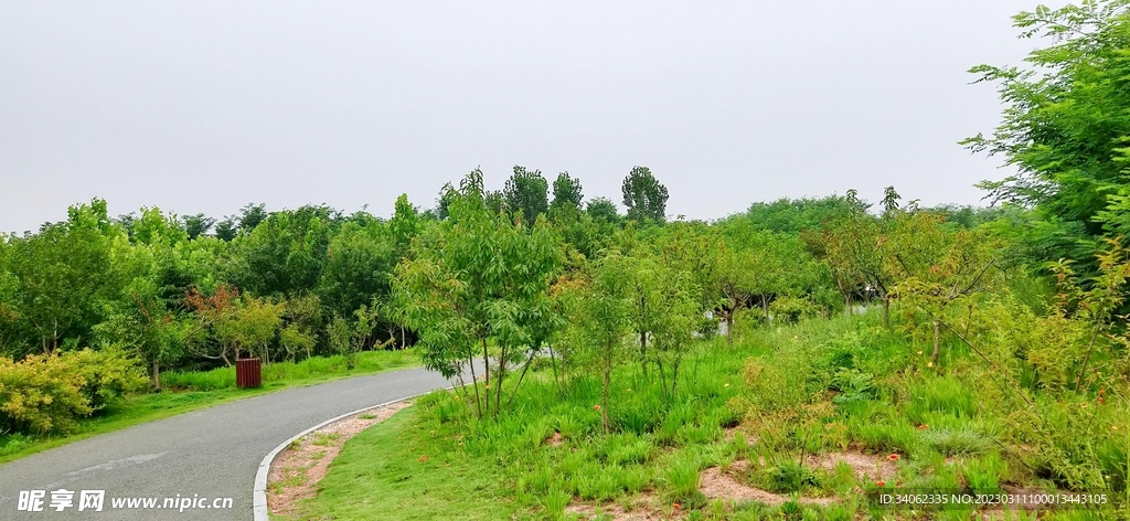 马山神秘风景