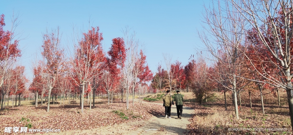 马山神秘风景