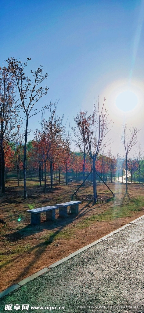 马山神秘风景