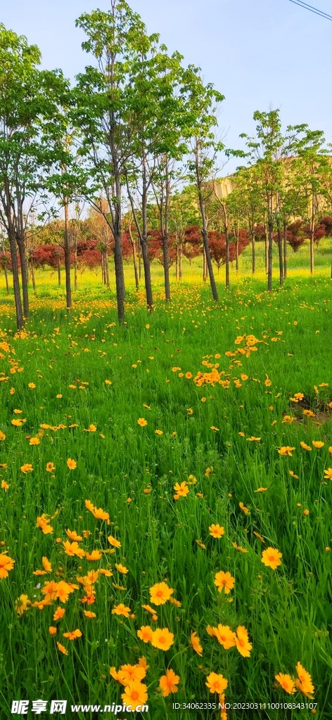 马山神秘风景