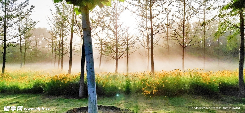 马山神秘风景