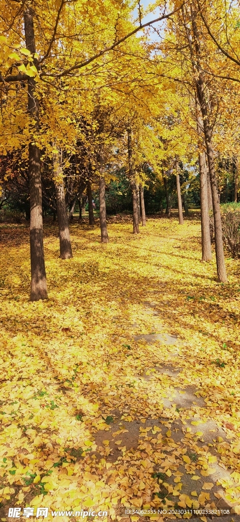 马山神秘风景