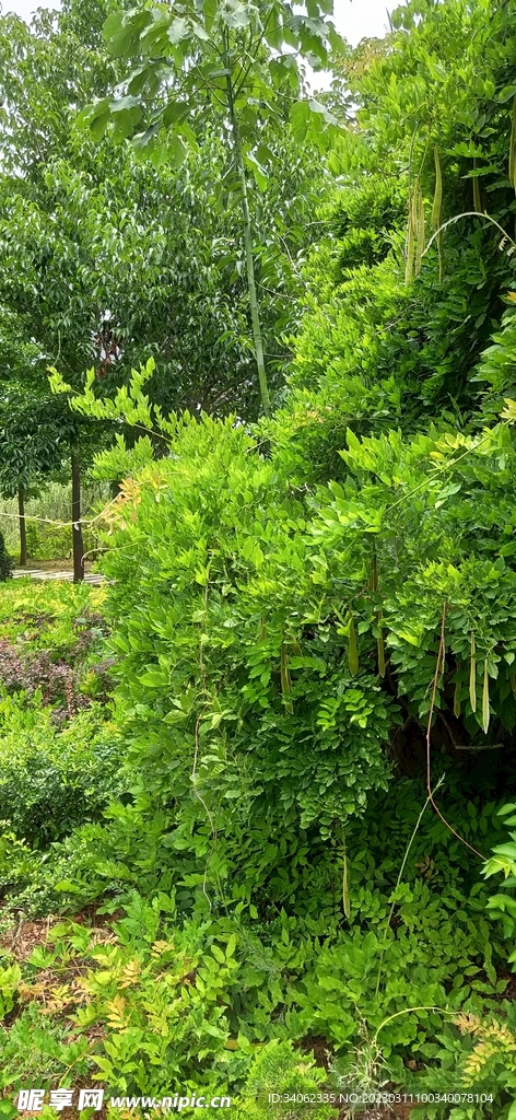 马山神秘风景