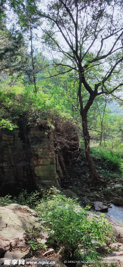 马山神秘风景