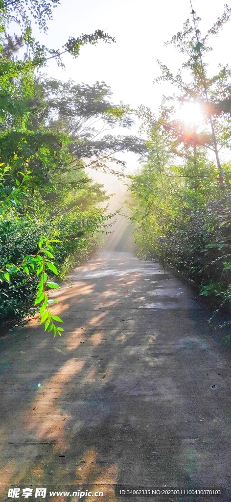 马山神秘风景