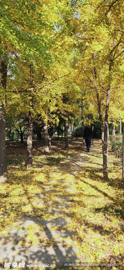 马山神秘风景