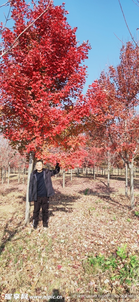 马山神秘风景