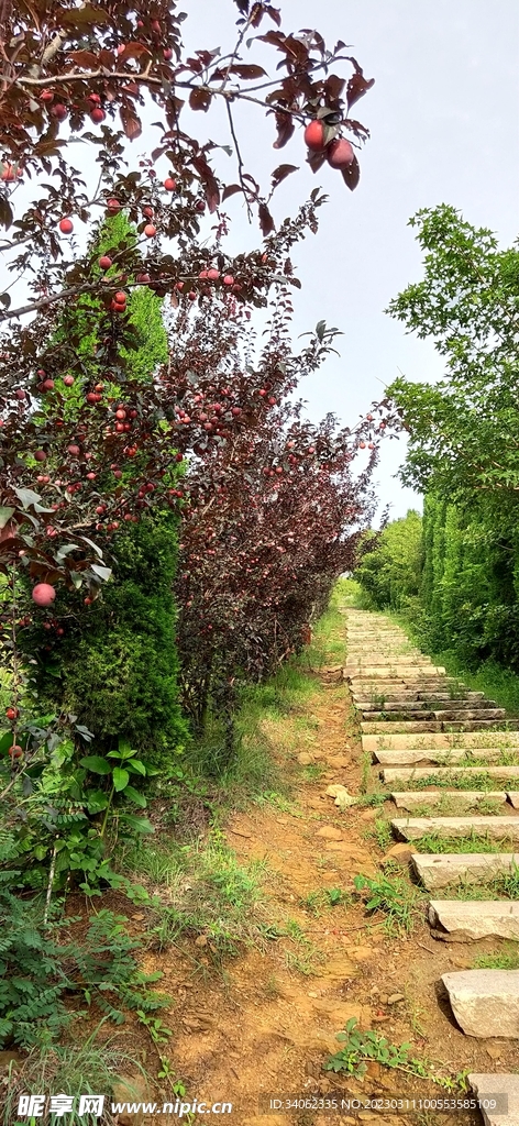 马山神秘风景