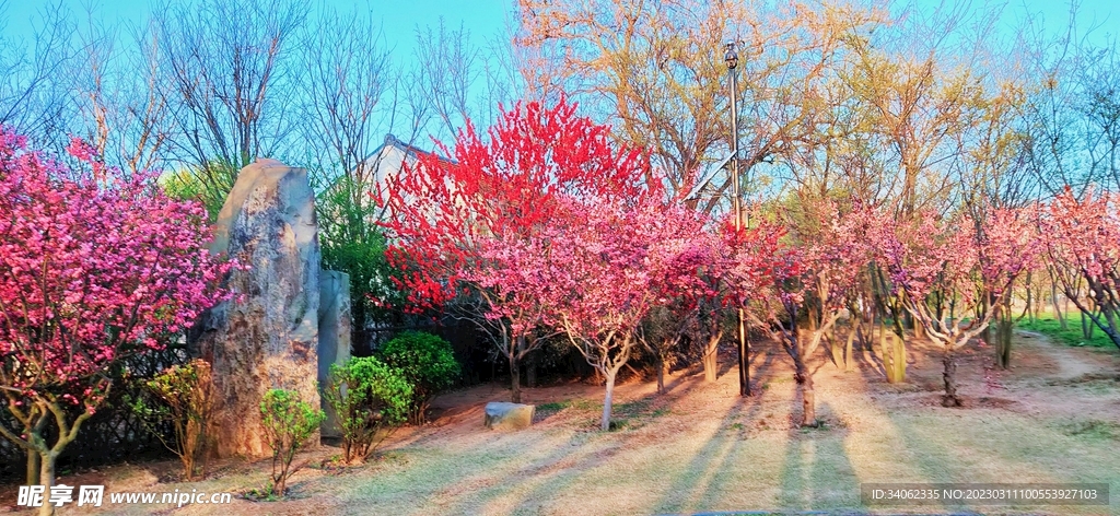 马山神秘风景