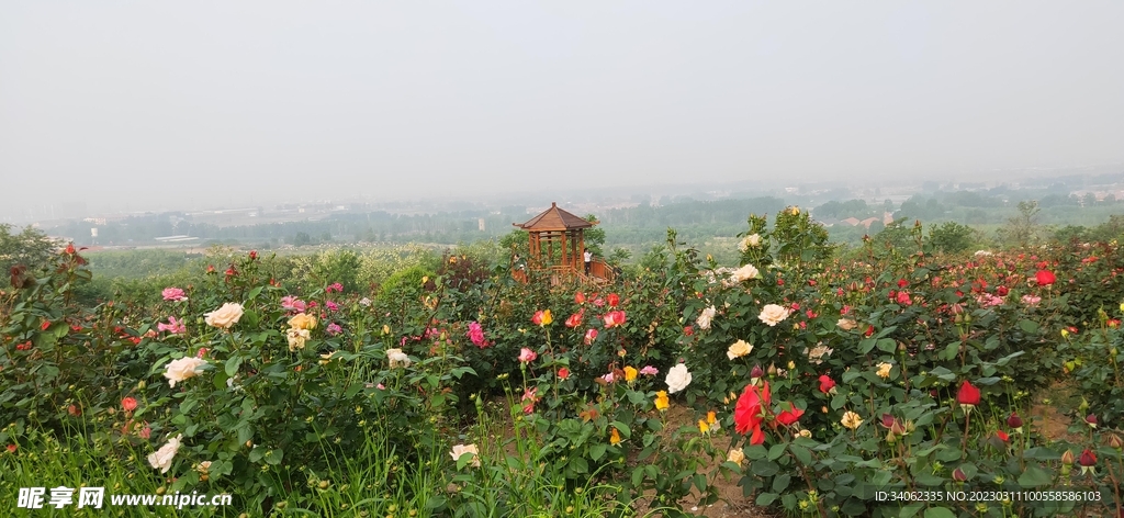 马山神秘风景